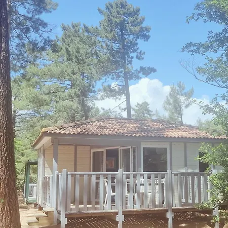 Mulinacciu