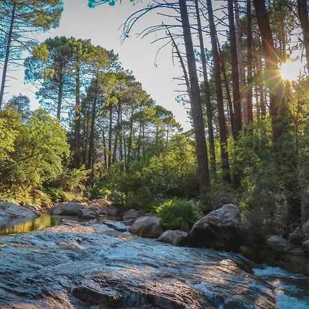 Mulinacciu Κάμπινγκ Lecci