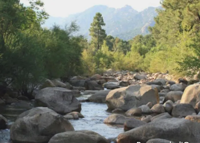 Kemp Mulinacciu Lecci