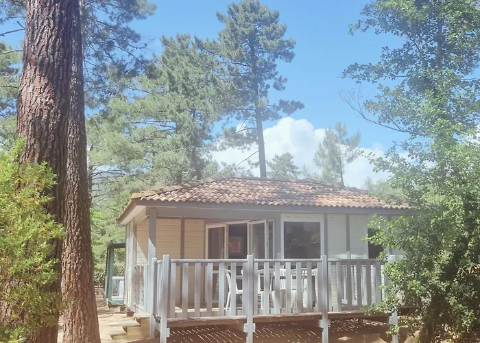 Mulinacciu