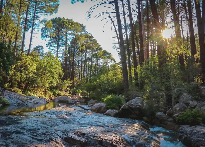 Mulinacciu Kemp Lecci